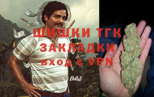 индика Арсеньев