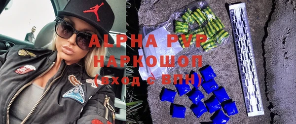 индика Арсеньев