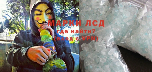 ГАЛЛЮЦИНОГЕННЫЕ ГРИБЫ Аркадак
