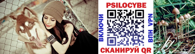 Псилоцибиновые грибы Psilocybine cubensis  Купить  Старая Русса 